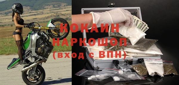 шишки Краснотурьинск