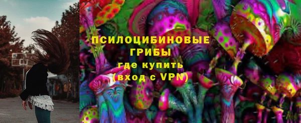 шишки Краснотурьинск