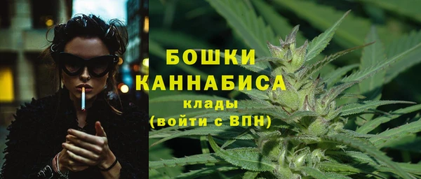шишки Краснотурьинск