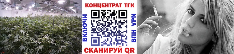 ТГК гашишное масло  закладки  Черноголовка 